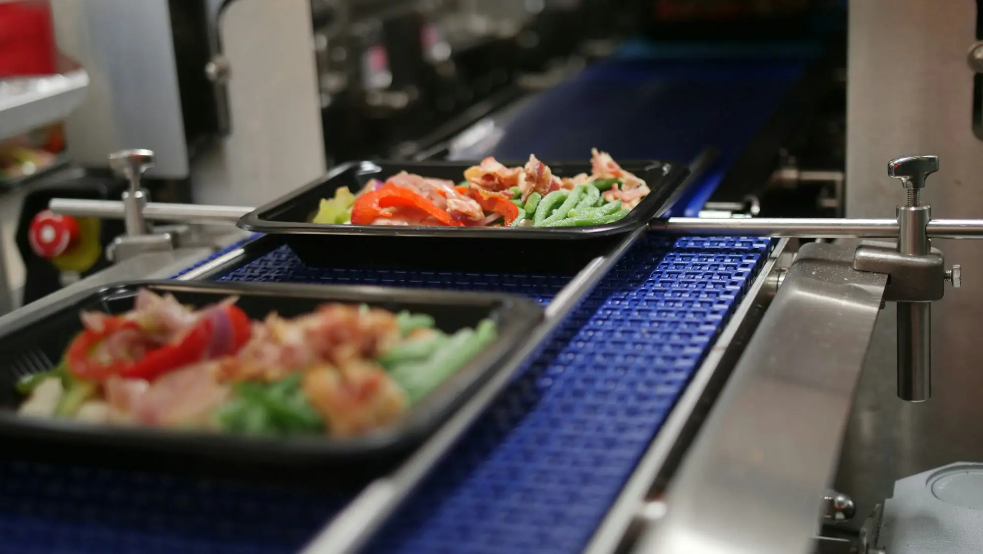 Trays of prepared food moving along a stainless-steel conveyor